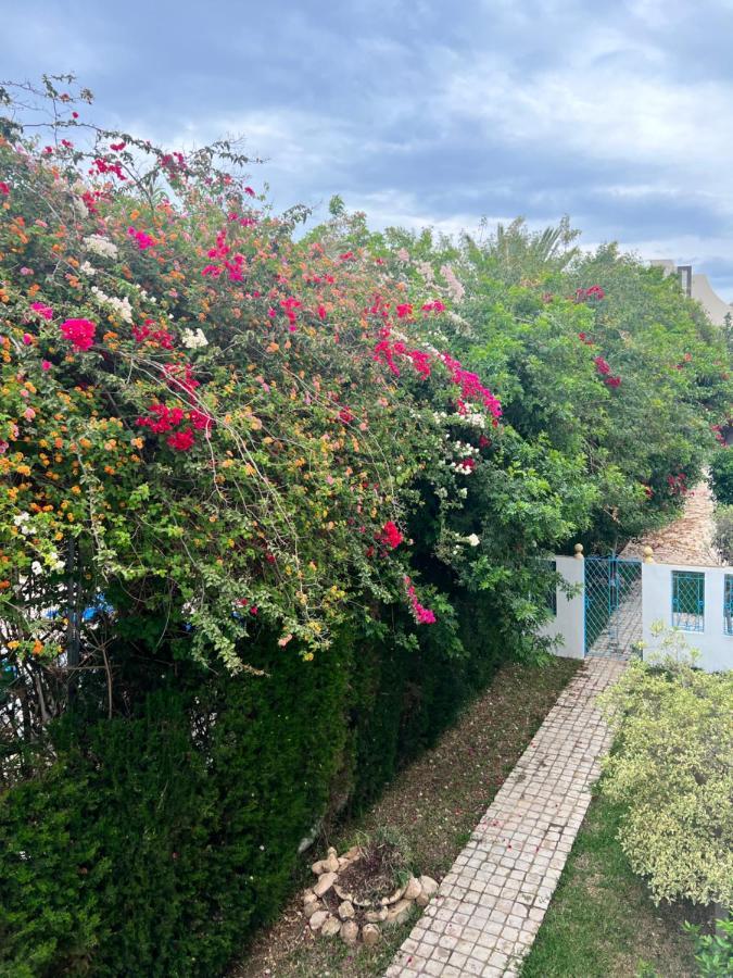 Appartement Rayhan Yasmine Χαμμαμέτ Εξωτερικό φωτογραφία